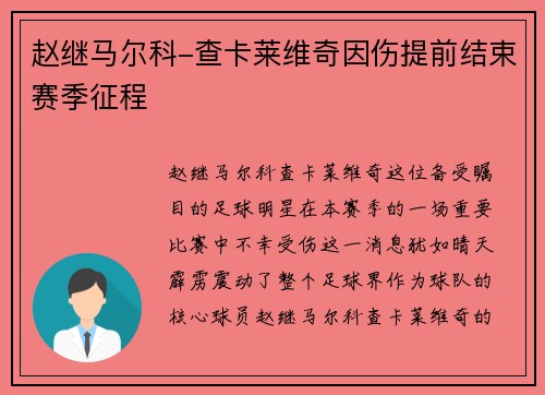 赵继马尔科-查卡莱维奇因伤提前结束赛季征程